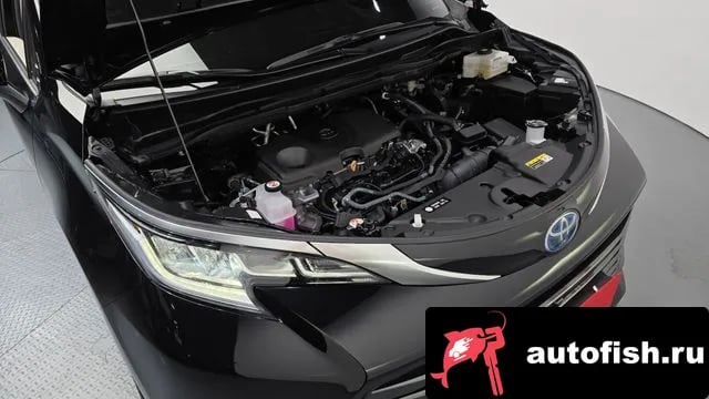 Toyota Sienna Siena 4th Generation 2024 года - вид 6