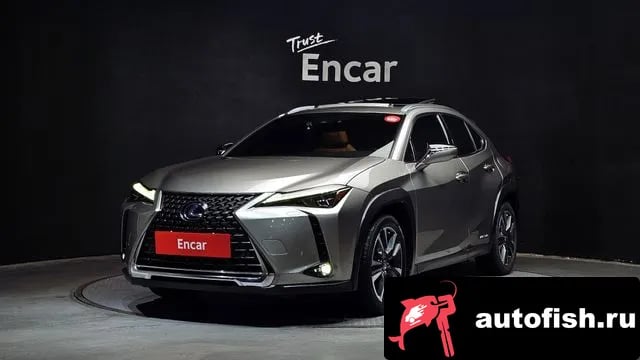 Lexus UX UX250h 2019 года - вид 1