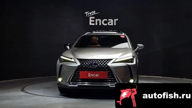 Lexus UX UX250h 2019 года - вид 3