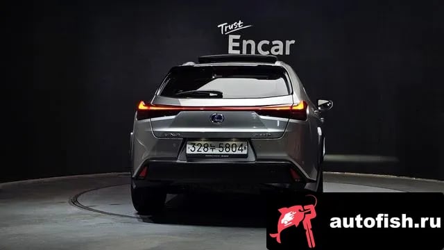 Lexus UX UX250h 2019 года - вид 4