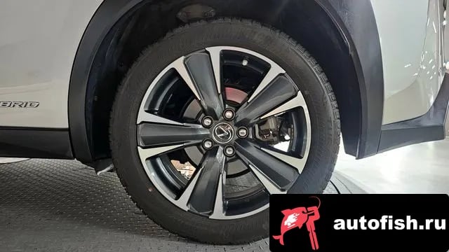 Lexus UX UX250h 2019 года - похожие автомобили