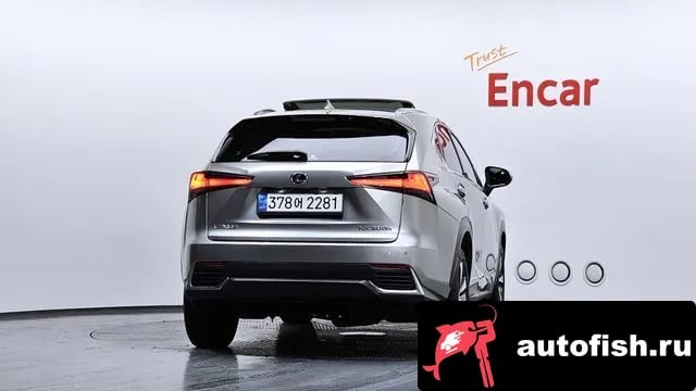 Lexus NX NX300h 2018 года - вид 4