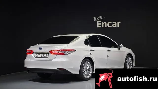 Toyota Camry Camry (XV70) 2019 года - вид 2