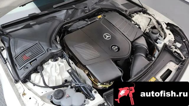 Mercedes-Benz C-Class C-Class W206 2025 года - вид 5