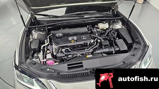 Lexus ES ES300h 7th generation 2023 года - вид 6