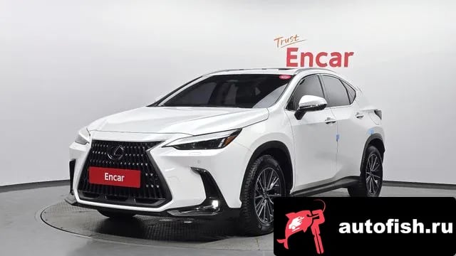 Lexus NX NX450h + 2nd generation 2023 года - автомобиль из Южной Кореи