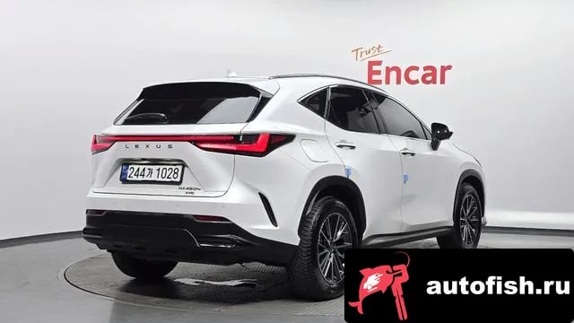 Lexus NX NX450h + 2nd generation 2023 года - вид 2