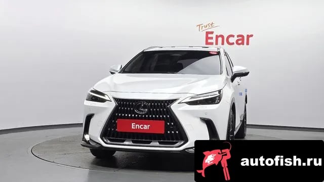 Lexus NX NX450h + 2nd generation 2023 года - вид 3