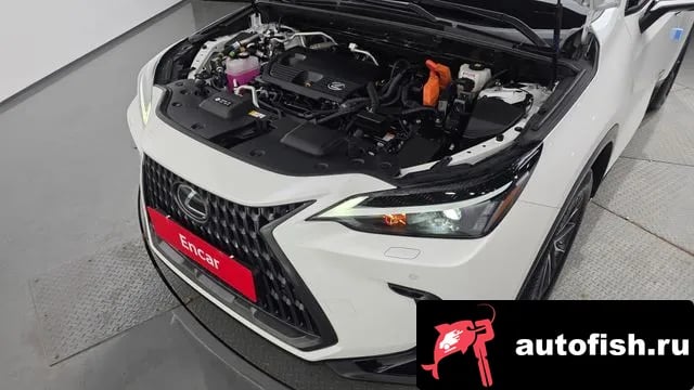 Lexus NX NX450h + 2nd generation 2023 года - вид 6