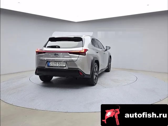 Lexus UX UX250h 2019 года - вид 2