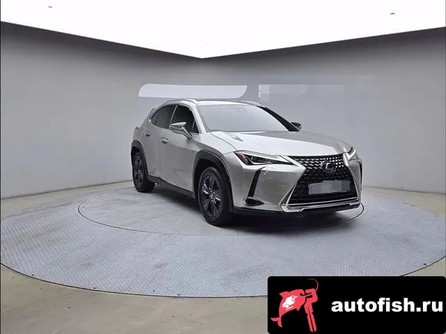 Lexus UX UX250h 2019 года - вид 3
