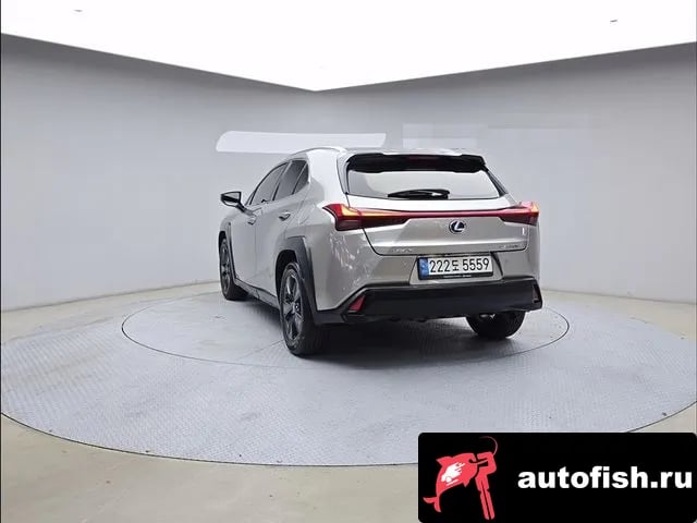Lexus UX UX250h 2019 года - вид 4
