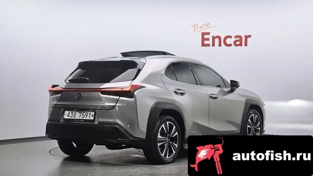 Lexus UX UX250h 2019 года - вид 2