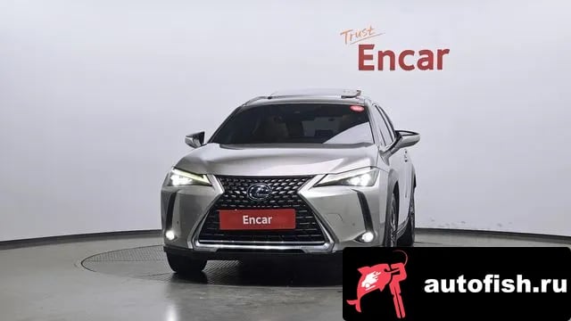 Lexus UX UX250h 2019 года - вид 3