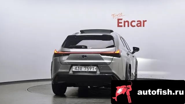 Lexus UX UX250h 2019 года - вид 4