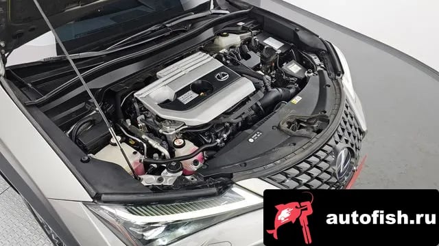 Lexus UX UX250h 2019 года - вид 6