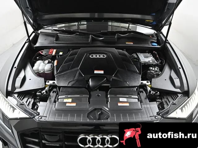 Audi Q8 Q8 (4M) 2023 года - вид 6
