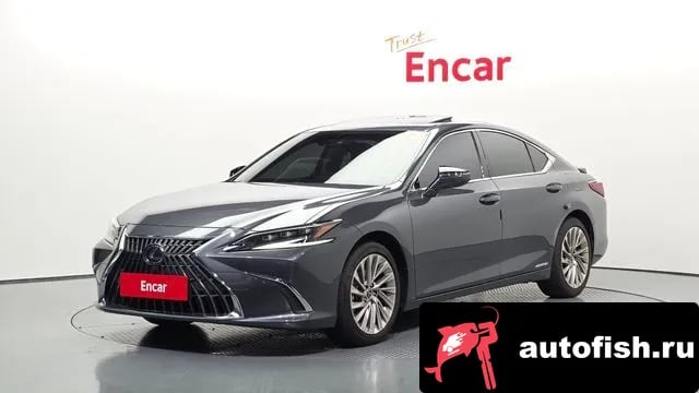 Lexus ES ES300h 7th generation 2022 года - вид 1