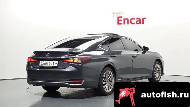Lexus ES ES300h 7th generation 2022 года - вид 2