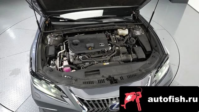 Lexus ES ES300h 7th generation 2022 года - вид 6