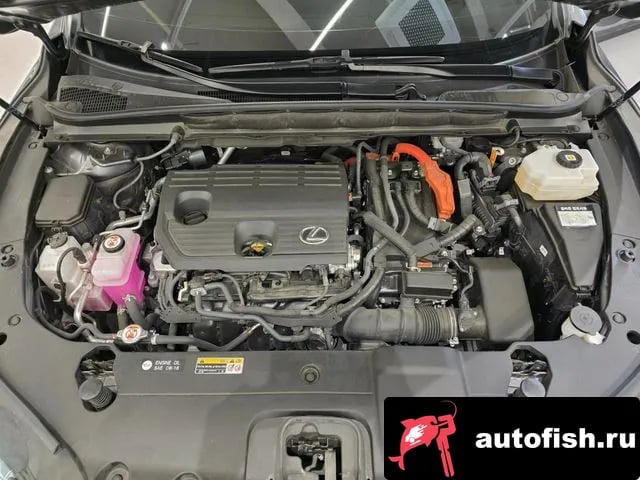 Lexus RX RX350h 5th generation 2024 года - вид 6