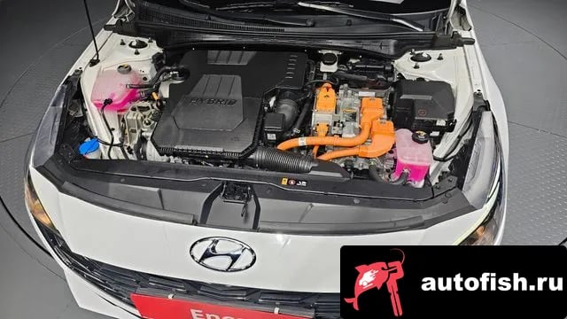 Hyundai AVANTE Avante Hybrid (CN7) 2022 года - вид 6