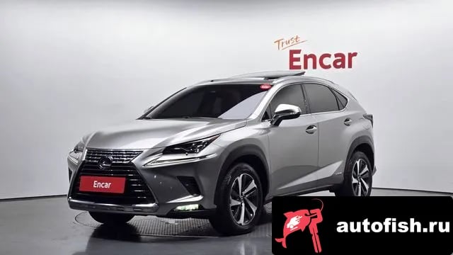 Lexus NX NX300h 2019 года - вид 1