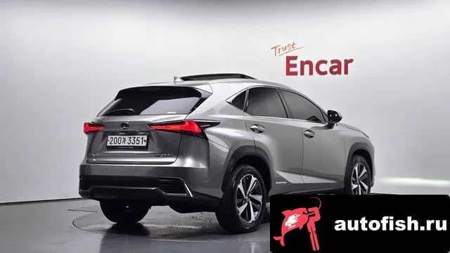 Lexus NX NX300h 2019 года - вид 2