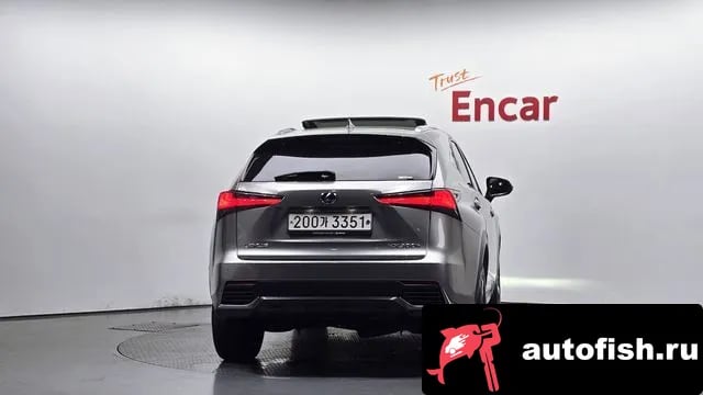Lexus NX NX300h 2019 года - вид 4
