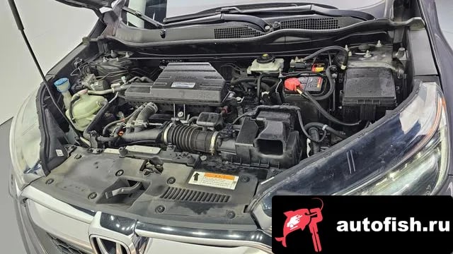 Honda CR-V CR-V 5th generation 2019 года - вид 6