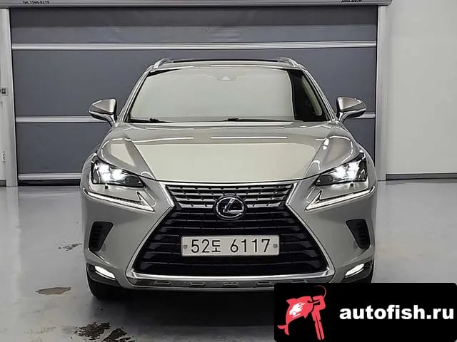 Lexus NX NX300h 2019 года - автомобиль из Южной Кореи