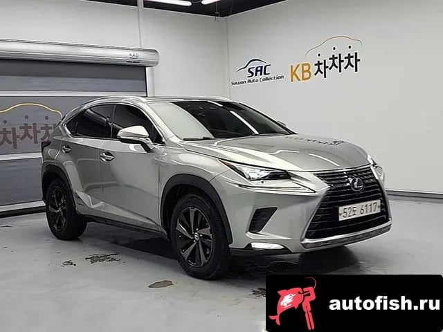 Lexus NX NX300h 2019 года - вид 4