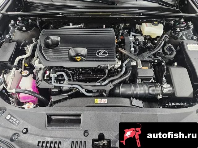 Lexus ES ES300h 7th generation 2025 года - вид 6