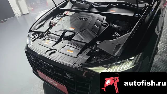 Audi Q8 Q8 (4M) 2023 года - вид 6