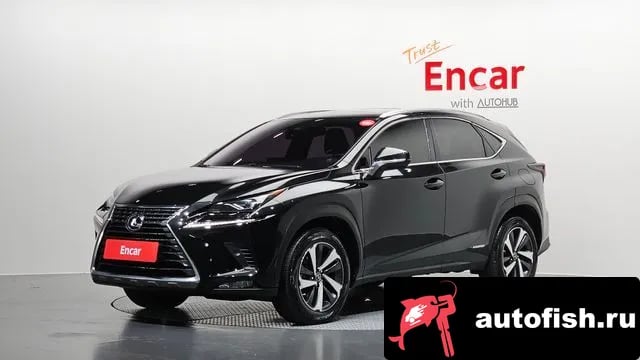 Lexus NX NX300h 2021 года - вид 1