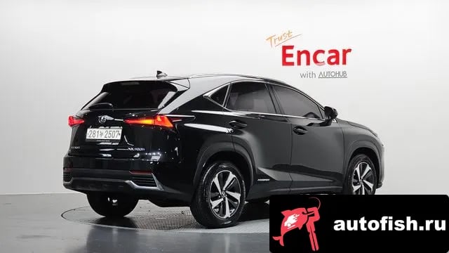 Lexus NX NX300h 2021 года - вид 2