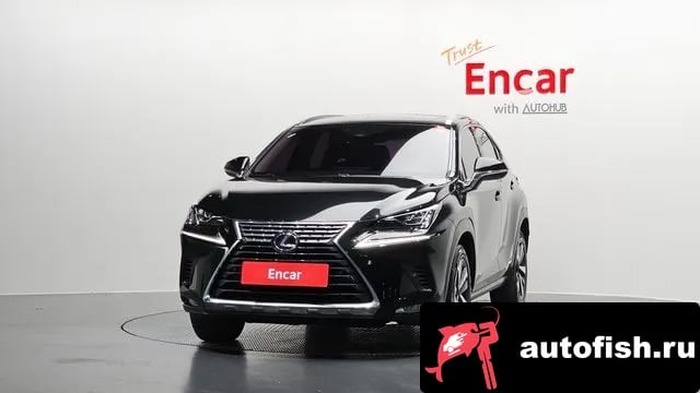Lexus NX NX300h 2021 года - вид 3