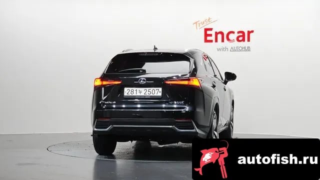 Lexus NX NX300h 2021 года - вид 4
