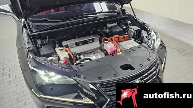 Lexus NX NX300h 2021 года - вид 6