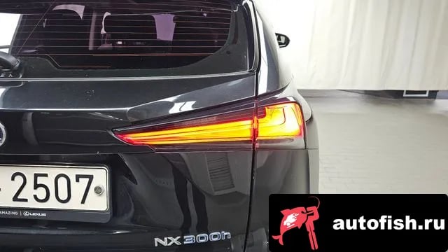 Lexus NX NX300h 2021 года - похожие автомобили
