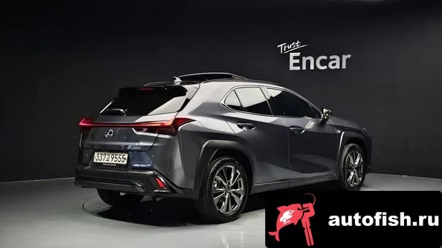 Lexus UX UX250h 2023 года - вид 2