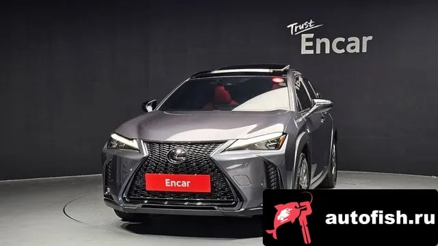 Lexus UX UX250h 2023 года - вид 3