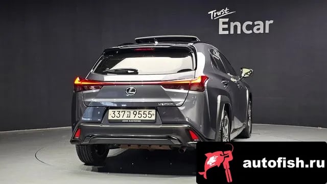 Lexus UX UX250h 2023 года - вид 4
