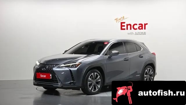 Lexus UX UX250h 2019 года - вид 1