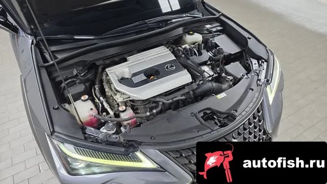 Lexus UX UX250h 2019 года - похожие автомобили
