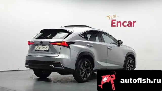Lexus NX NX300h 2018 года - вид 2