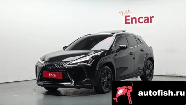 Lexus UX UX250h 2021 года - автомобиль из Южной Кореи