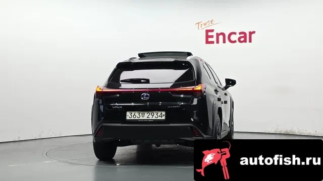 Lexus UX UX250h 2021 года - вид 4
