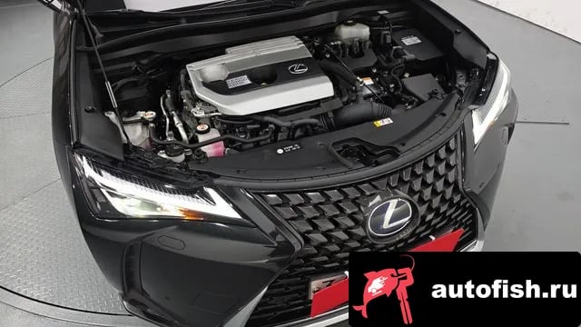 Lexus UX UX250h 2021 года - вид 6