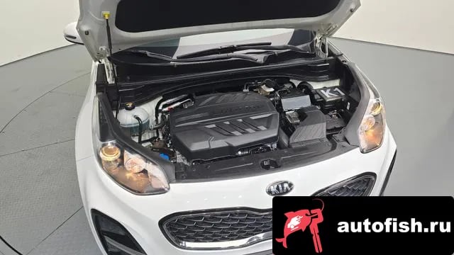 Kia Sportage Sportage The Bold 2019 года - вид 6